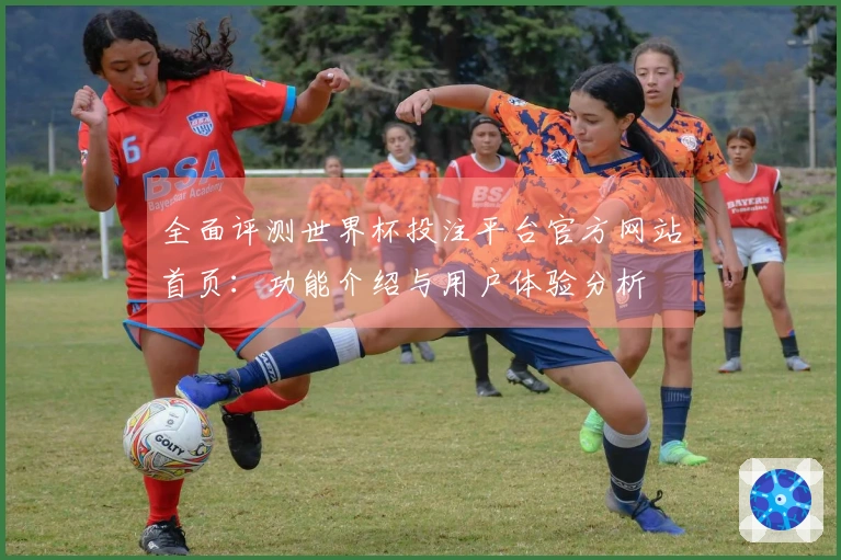 全面评测世界杯投注平台官方网站首页：功能介绍与用户体验分析