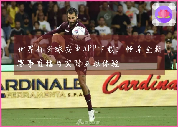世界杯买球安卓APP下载：畅享全新赛事直播与实时互动体验