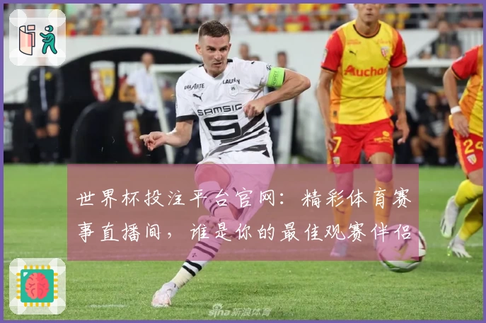 世界杯投注平台官网：精彩体育赛事直播间，谁是你的最佳观赛伴侣？