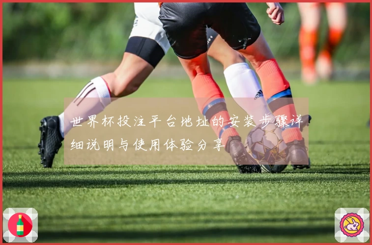 世界杯投注平台地址的安装步骤详细说明与使用体验分享