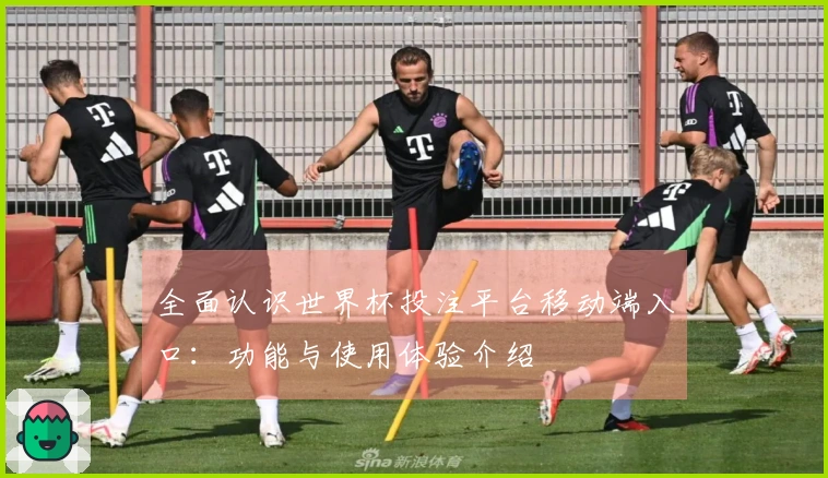 全面认识世界杯投注平台移动端入口：功能与使用体验介绍