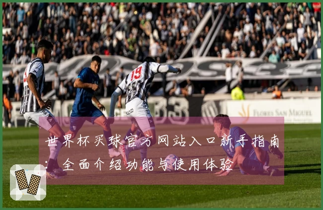 世界杯买球官方网站入口新手指南：全面介绍功能与使用体验