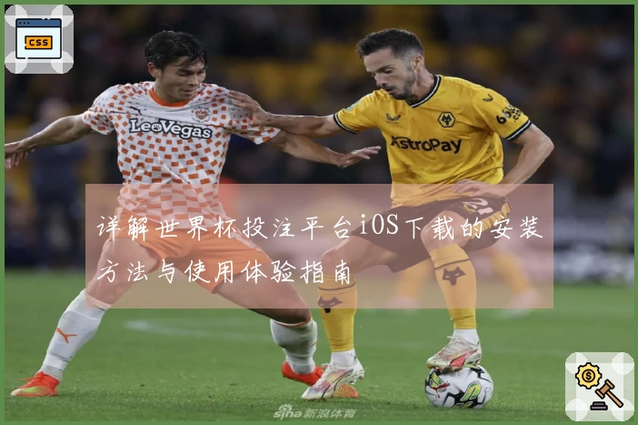 详解世界杯投注平台iOS下载的安装方法与使用体验指南