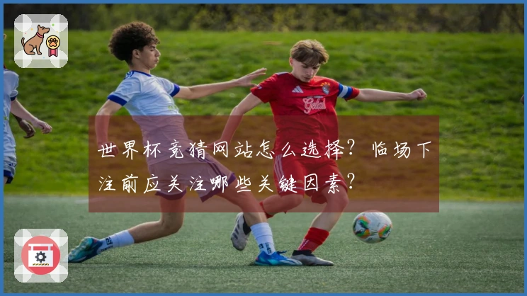 世界杯竞猜网站怎么选择？临场下注前应关注哪些关键因素？