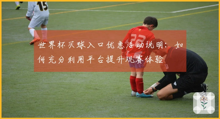 世界杯买球入口优惠活动说明：如何充分利用平台提升观赛体验