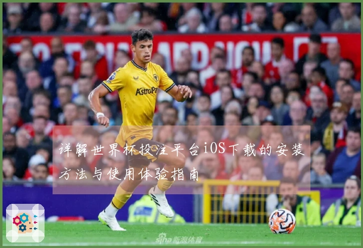 详解世界杯投注平台iOS下载的安装方法与使用体验指南