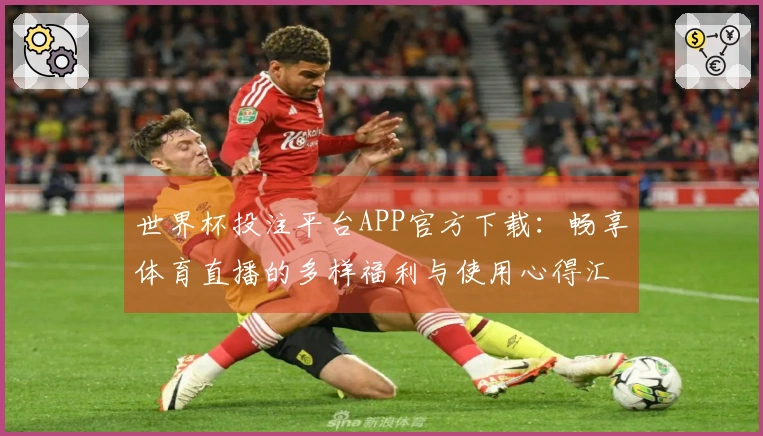 世界杯投注平台APP官方下载：畅享体育直播的多样福利与使用心得汇总