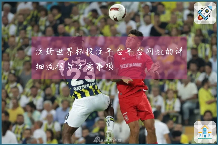 注册世界杯投注平台平台网址的详细流程与注意事项